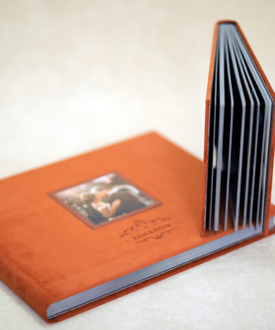 Alternative view of INKA