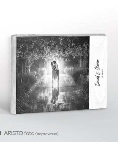 Alternative view of ARISTO foto