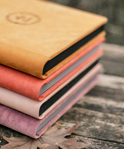 Alternative view of ROMEO eko