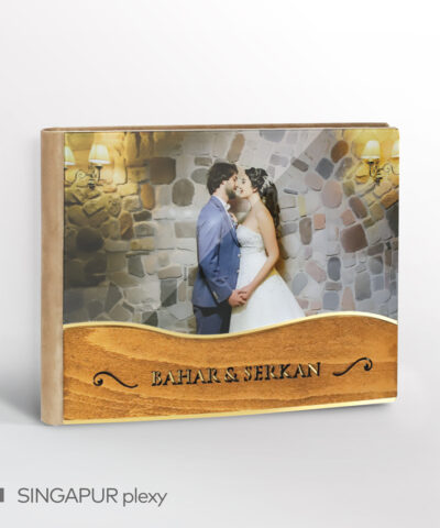 Alternative view of SINGAPUR plexy